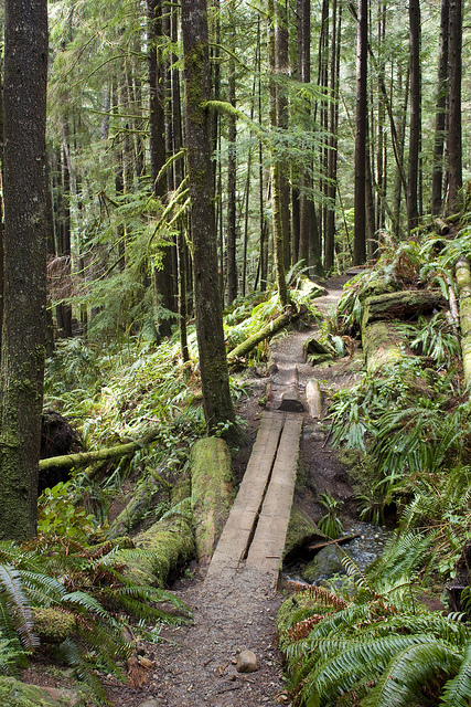 Juan de Fuca trail on Vancouver Island